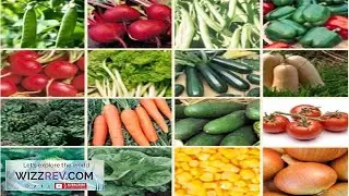 150+ Heirloom Vegetable Seed 6 Variety Garden Set #2 Emergency Survival NON GMO