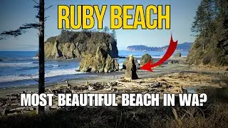 🌊 Exploring Ruby Beach, Washington &ndash; A Coastal Wonderland 🌲 Kalaloch Forks, WA Olympic National Park