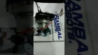 Motor Reduction Gear Rambal Chile Robotics
