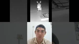 Tantangan untuk tidak tertawa 76 #funny #trynottolaugh #reactionchallenge #viral