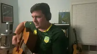 James Arthur Ferguson- The Honest Bird (original)