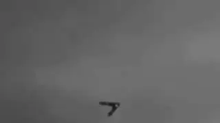Mysterious Boomerang-Shaped UFO Captured Silently Gliding Across Texas Skies