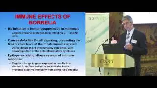 Dr. Joseph Burrascano Jr: Lyme Borreliosis: Treatment and Case Histories. NorVect 2014