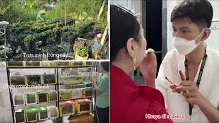 ngày 17 tháng 1, 2026