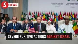 Malaysia calls for severe punitive actions against Israel, says PM