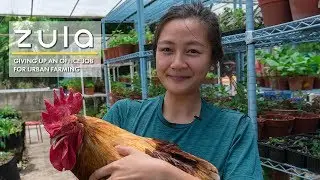 Left Corporate Job To Be A Farmer In Singapore: Kimberly Hoong | ZULA Features | EP 13