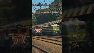Wag9 action entry #viral #shortvideo