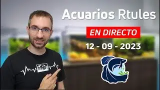 🔴 DIRECTO! Descubre Todo lo que Quieras Saber | AcuariosRtules