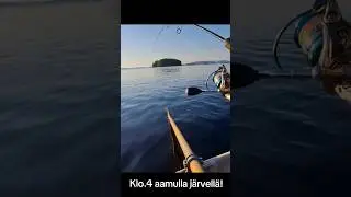 Komiaa kundit #kalassa