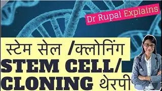 STEM CELL Therapy Kya hai 🤔? - Dr. Rupal Explains (Hindi) - How it WORKS & WHY its DONE ?