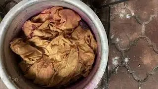 Dyeing with Sappanwood Experiment