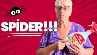 Day in the life- Spiders, Homeschool, Clean With Me, ARFID Lunch.