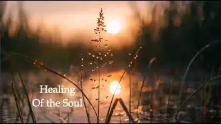 Clear Negative Energy & Aura | HealingOf the Soul | Nature&rsquo;s Pulse Healing | Deep Inner Peace