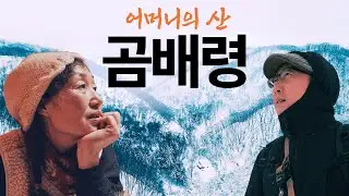 [항공촬영] 살다보니 30년, 순백의 대자연과 함께 써 내려간 기적의 산중일기 | 다큐멘터리 어머니의 산