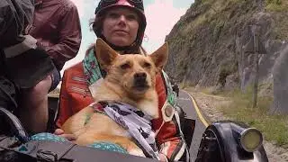Fundraising for DARG Hout Bay - Cape Sidecar Adventures Dog Ride 2019