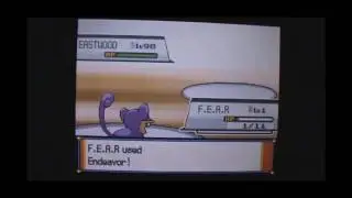 Pok&eacute;mon - The F.E.A.R Technique