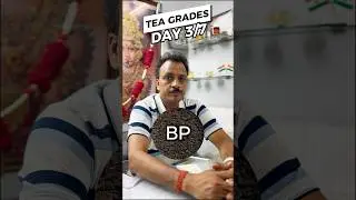 BP Tea Business, King of GRADES || TEA GRADES DAY 3/7 #teabusiness #tea