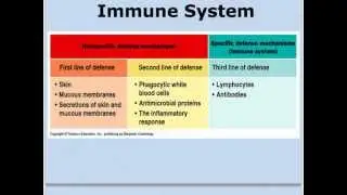 Unit 13 Notes - Immune system Wednesday and Thursday