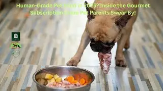 Human-Grade Pet Food in 2025? Inside the Gourmet Subscription Craze Pet Parents Swear By!
