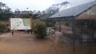 HSK Virtual Tour: The Monato Safari Park's Full Bus Tour