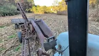 Picking deer corn