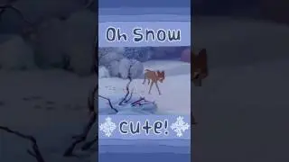 Oh snow cute