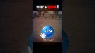 You won&rsquo;t believe this catch&hellip; BEST EVER! 😱 😱🔥&rdquo; #catch #cricket #cricketshorts
