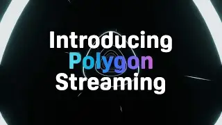 VIVERSE Polygon Streaming Technology