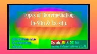 Types of Bioremediation | In-Situ | Ex-situ | @Sunshine-ld8rv  #types #bioremediation