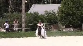 Fête du club de Chartres Equitation - Le parcours du combattant