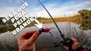ACABOU O INVERNO?! Pesca de traira com frog.
