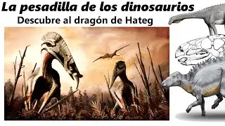 La pesadilla de los dinosaurios. Descubre al dragón de Hateg
