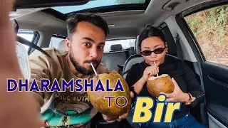 Dharamshala to Bir Road Trip 🚗 | Cafe stop, Coconut Breaks & Himachali Dham