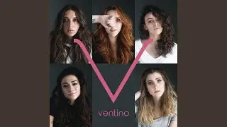 No Volverá