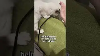 excited for no reason