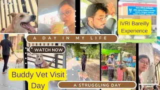 My Mini Vlog | A Day In My Life | IVRI Bareilly Experience | A struggling Day #youtubevlogs #vlogs