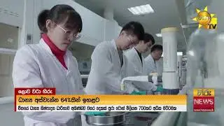 2025 වසරේ චීනයේ ධාන්‍ය නිෂ්පාදනය  ටොන් මිලියන 714.9ක්