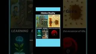 Hidden Reality #silentsupport #heart touching #balanceinlife #HiddenReality
