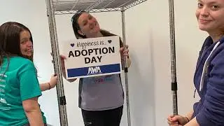 AWA's History and a new Shelter! | Animal Welfare Association | Animal Shelter in New Jersey