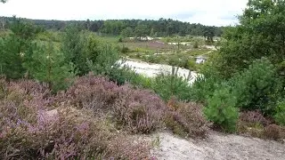 255 Brunssummerheide (Limburg, NL) 8,7 km