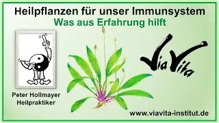 Heilpflanzen f&uuml;r unser Immunsystem