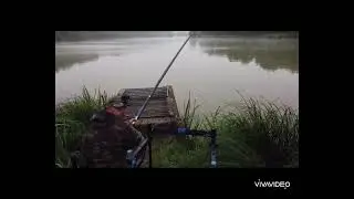 Silures au coup avec la Garbolino Zombie Ultra Specimen