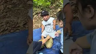 DAPAT DUREN JATUH DARI POHON NYA