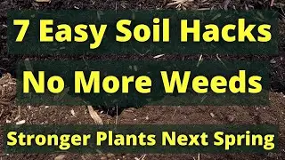 &ldquo;Fix Your Soil THIS Winter in 7 Simple Steps &ndash; Grow a Garden That Practically Runs Itself