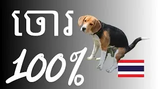 100% 🤣🎵 | Funny Song | Comedy Music | Viral Fun Sound