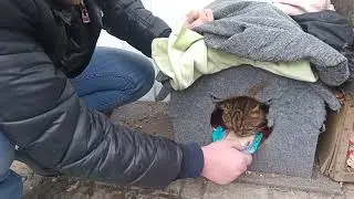 Чем Можем / Whatever We Can 🔥