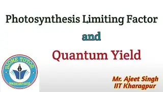 Photosynthesis Limiting Factor II Quantum Yield II Light & CO2 Compensation Point