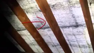 20 20 rotting roof sarking felt