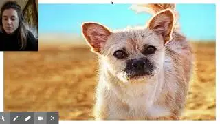 Finding Gobi Ch. 4 - Google Slides