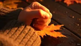 Slow Motion Leaf Crunch ASMR